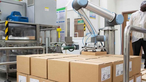 loreal-palletizing with collaborative robots, India